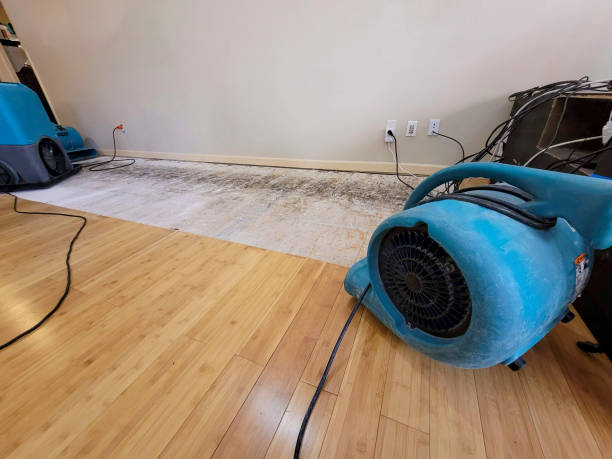 Professional Sewage Cleanup technician working in Williston, ND
